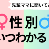 妊娠中に赤ちゃんの性別が男の子か女の子かいつわかる？先輩ママに聞いてみた！