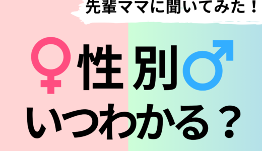 妊娠中に赤ちゃんの性別が男の子か女の子かいつわかる？先輩ママに聞いてみた！