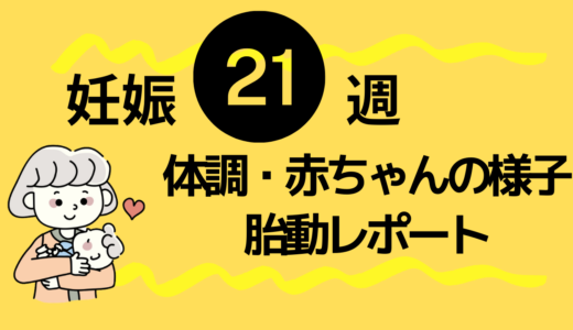 21週4回目の妊婦検診内容・おなかの張り・胎動の体験レポ