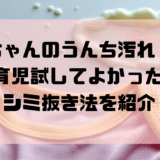 3人育児で獲得！うんち漏れの落とし方