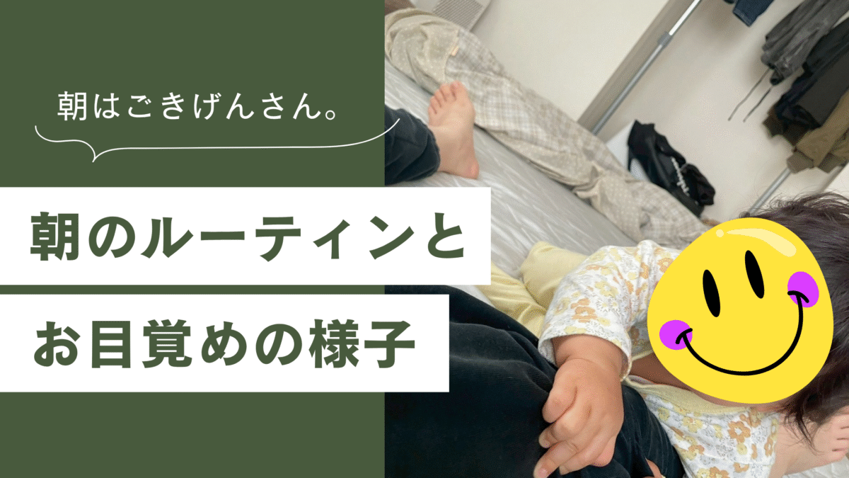 7か月娘の朝のルーティーン