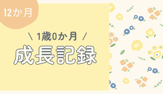 1歳0か月｜12か月の成長記録まとめ｜身長・体重・食事・できるようになったこと【女の子】