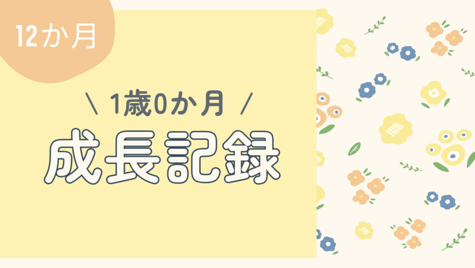 1歳0か月（12か月）の成長記録