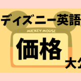 ディズニーの価格・費用総まとめ