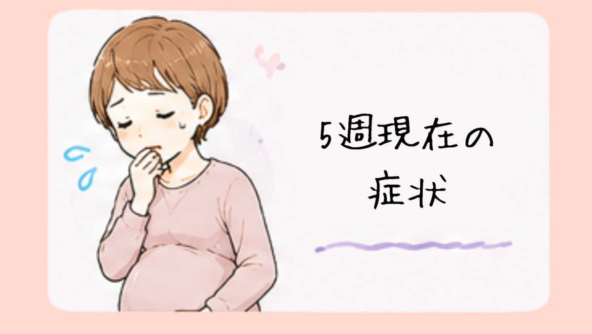妊娠5週(予測)現在の症状