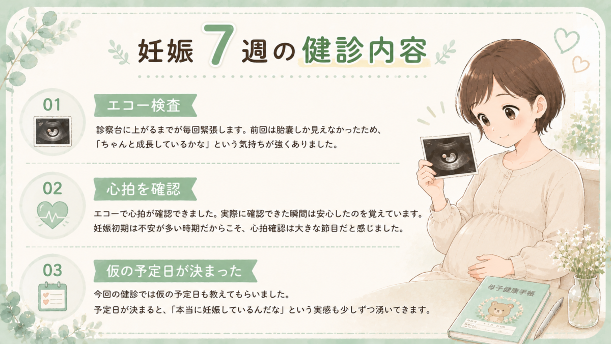 妊娠7週の健診内容