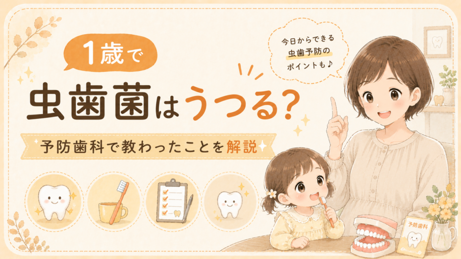 1歳で虫歯菌はうつる？予防歯科で教わったことをまとめました
