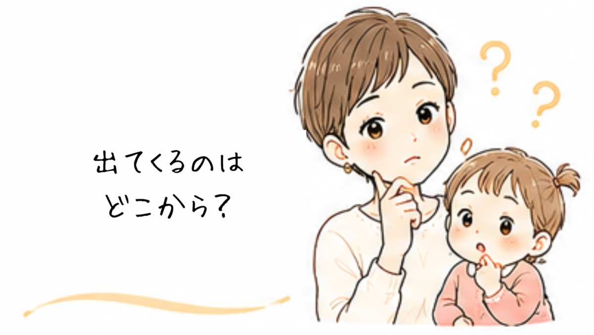母乳はどこから出るの?