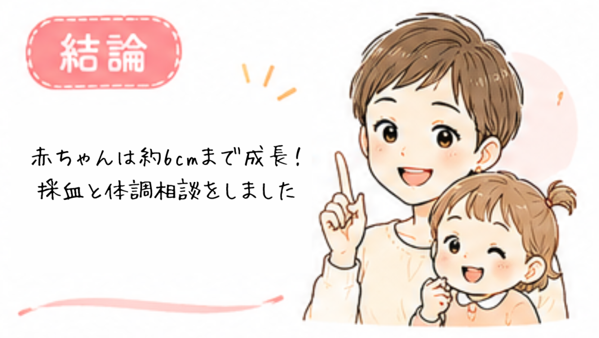 赤ちゃんは約6cmまで成長！採血と体調相談をしました