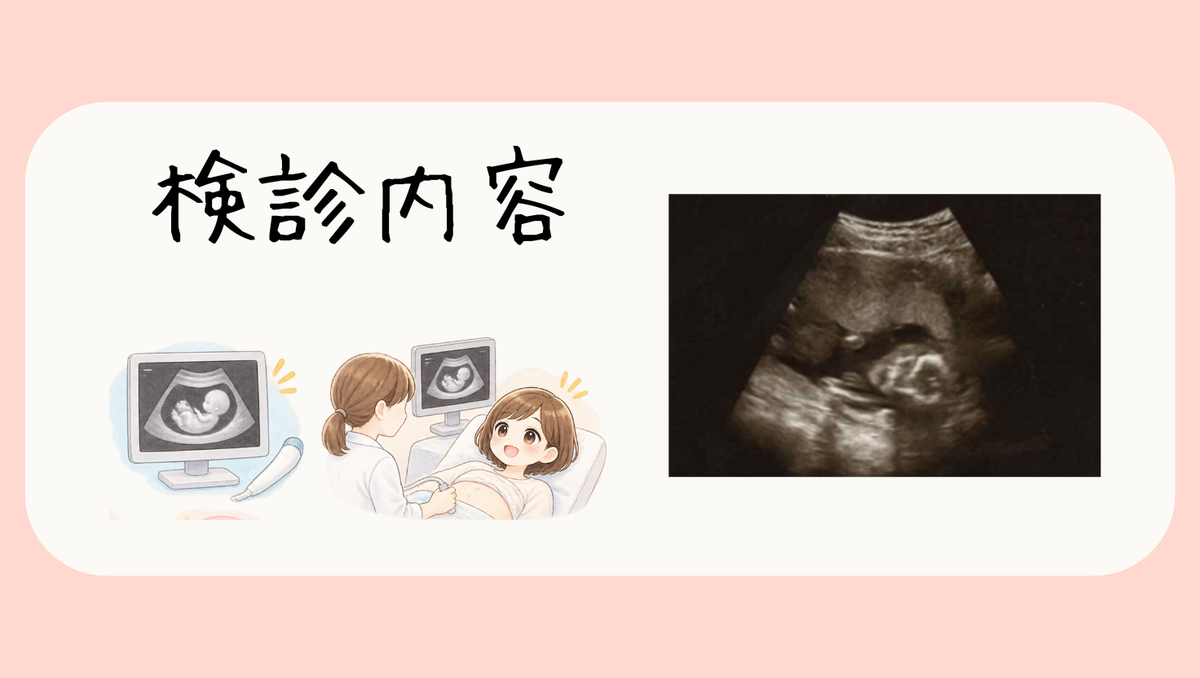 検診内容