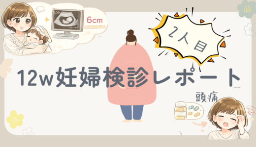 妊娠12週の妊婦健診レポ｜採血6本と赤ちゃんは6cmに成長！めまい・頭痛も相談しました