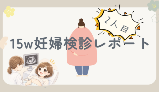 妊娠15週5日の妊婦健診レポ｜経腹エコーに！血液検査の結果と風疹抗体について