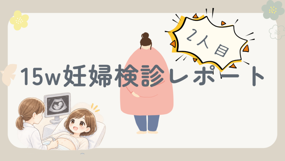 妊娠15週5日の妊婦健診レポ｜経腹エコーに！血液検査の結果と風疹抗体について