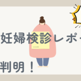 妊娠19週の妊婦健診レポ｜性別は女の子！