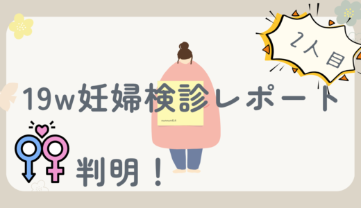 妊娠19週の妊婦健診レポ｜性別は女の子！