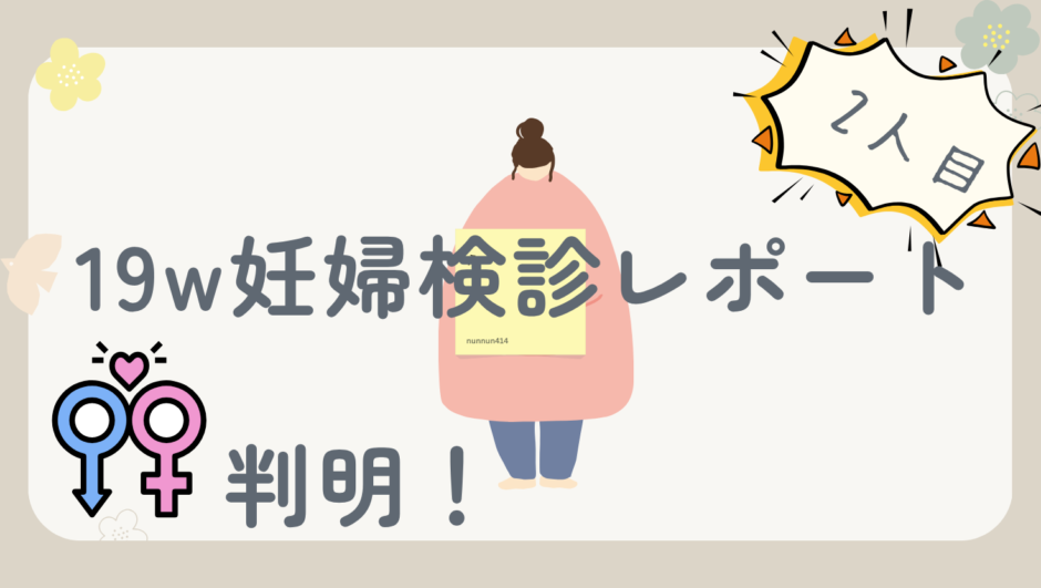 妊娠19週の妊婦健診レポ｜性別は女の子！