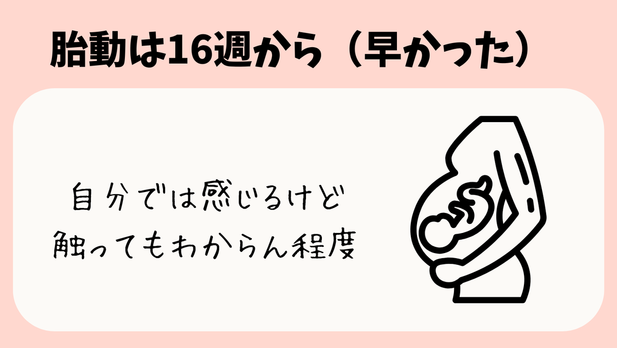 自分ではわかるけど触ってもわからないくらいの胎動