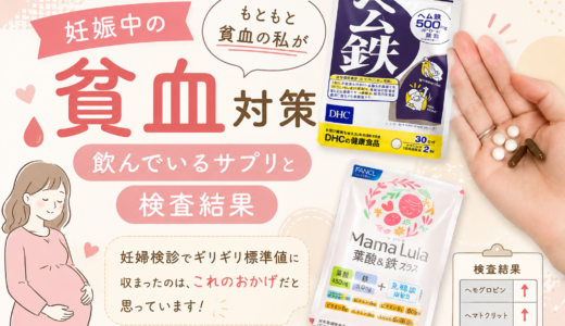 妊娠中の貧血対策｜もともと貧血の私が飲んでいるサプリと検査結果
