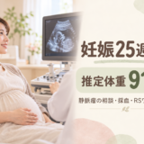 妊娠25週5日の妊婦健診レポ｜推定体重918g！静脈瘤の相談・採血・RSワクチンの案内