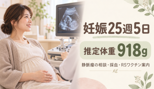 妊娠25週5日の妊婦健診レポ｜推定体重918g！静脈瘤の相談・採血・RSワクチンの案内