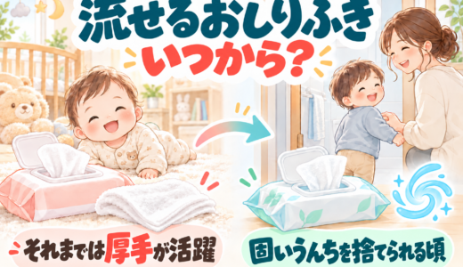 トイレに流せるおしりふきはいつから？普通のおしりふきとの使い分けを実体験で紹介