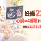 妊娠22週の妊婦健診レポ|胎動が1人目より早い?エコーで心臓もはっきり見えた