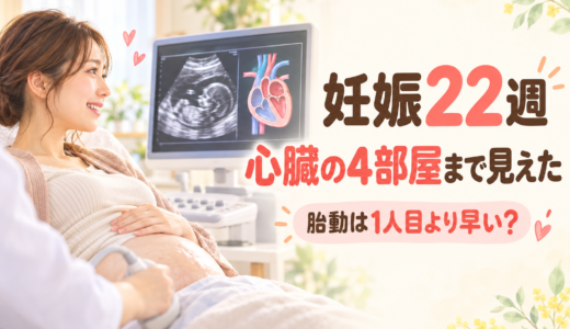妊娠22週の妊婦健診レポ｜胎動が1人目より早い？エコーで心臓もはっきり見えた