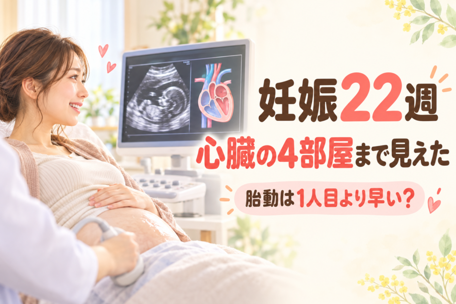 妊娠22週の妊婦健診レポ｜胎動が1人目より早い？エコーで心臓もはっきり見えた