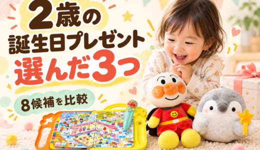 2歳の誕生日プレゼントに選んだ3つ！候補8種類を比較して決めた理由
